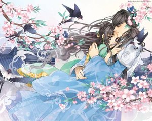 蓝小鸟官网